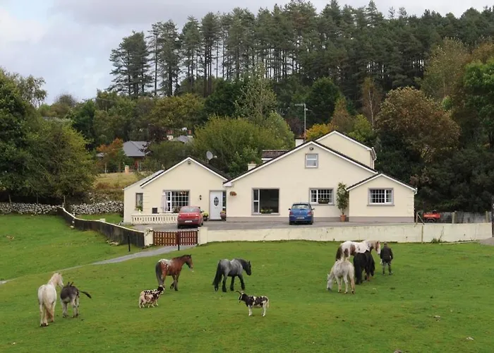 Muckross Riding Stables