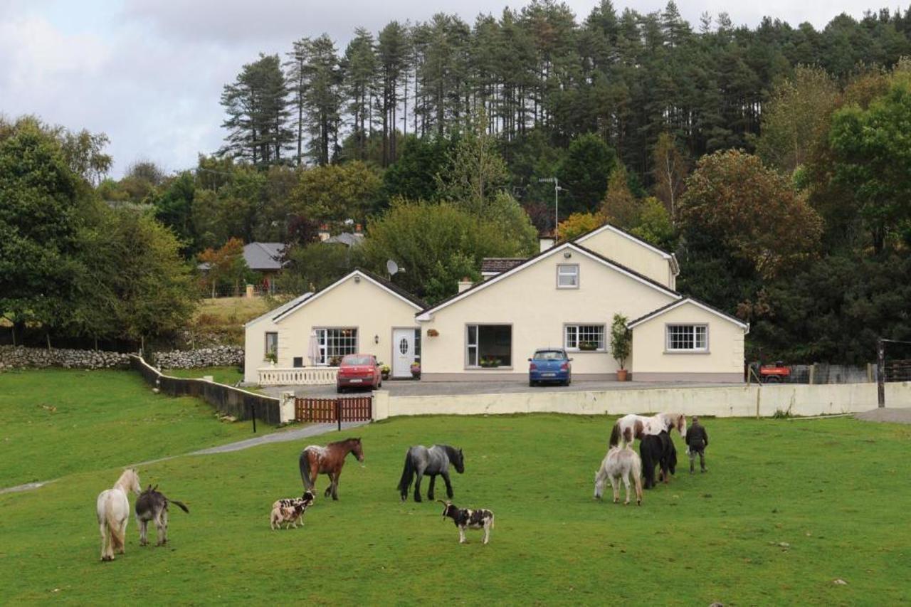 Farm stay Muckross Riding Stables