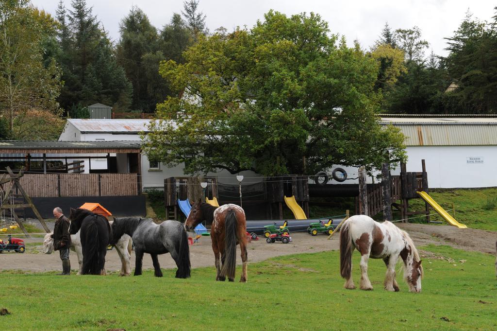 Muckross Riding Stables