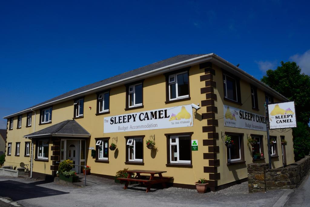 The Sleepy Camel Killarney