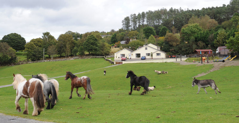 Muckross Riding Stables Killarney