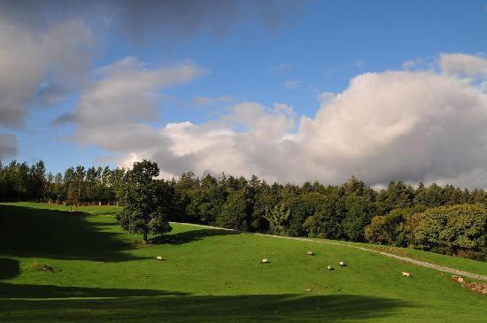 Muckross Riding Stables Farm stay