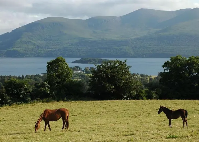 Killarney , Ring Of Kerry 2 Bed Apartment 2 Bathrooms