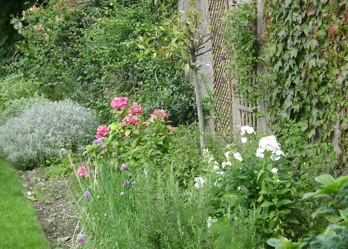 Saint Anthony\'S Lodge B&B