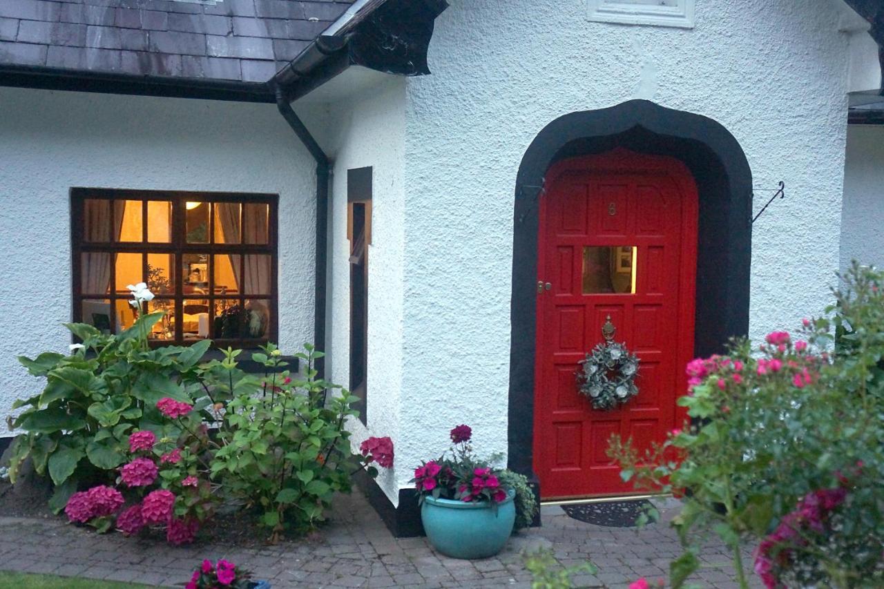 Ivy * Killarney