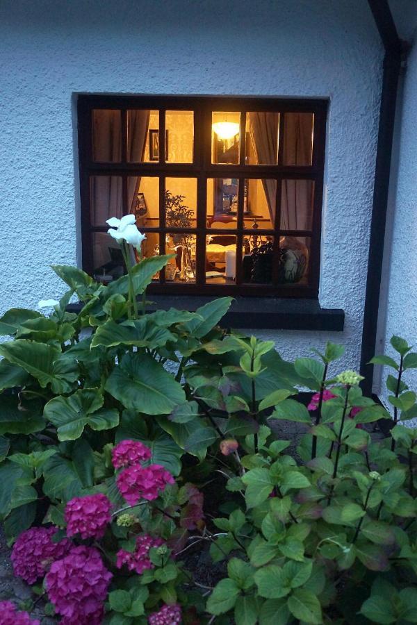Ivy Bed & Breakfast
