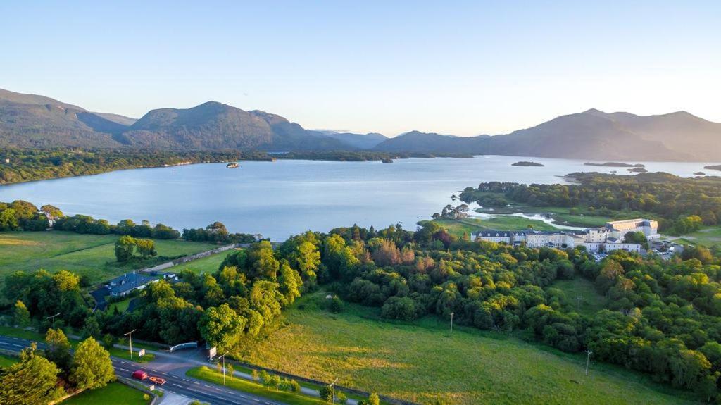 Acorn Killarney