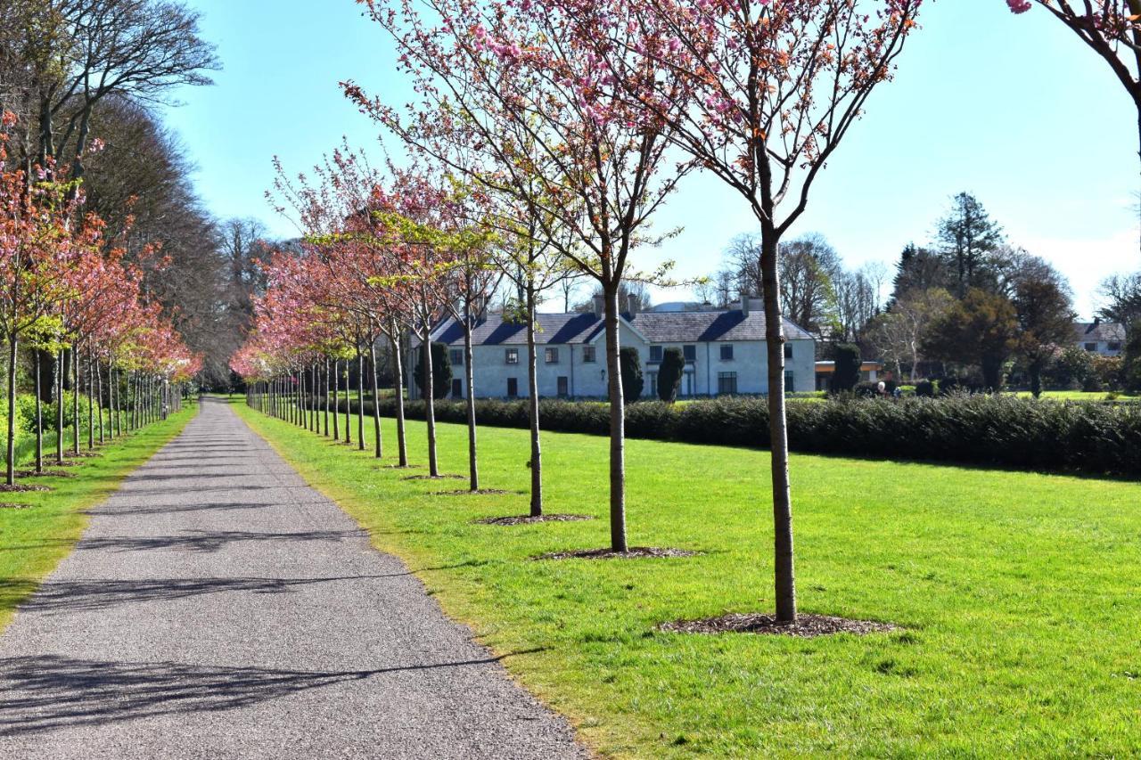 The Birches Guest house