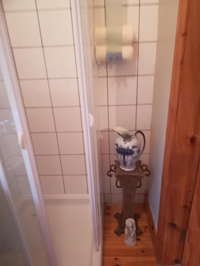 Chalet With Your Pet *