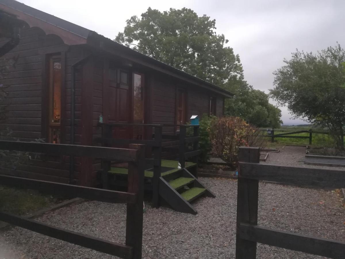 With Your Pet Chalet Killarney