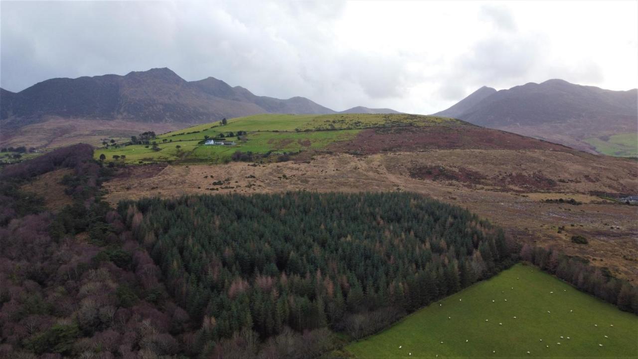 Holiday home Mount Alohert House Killarney