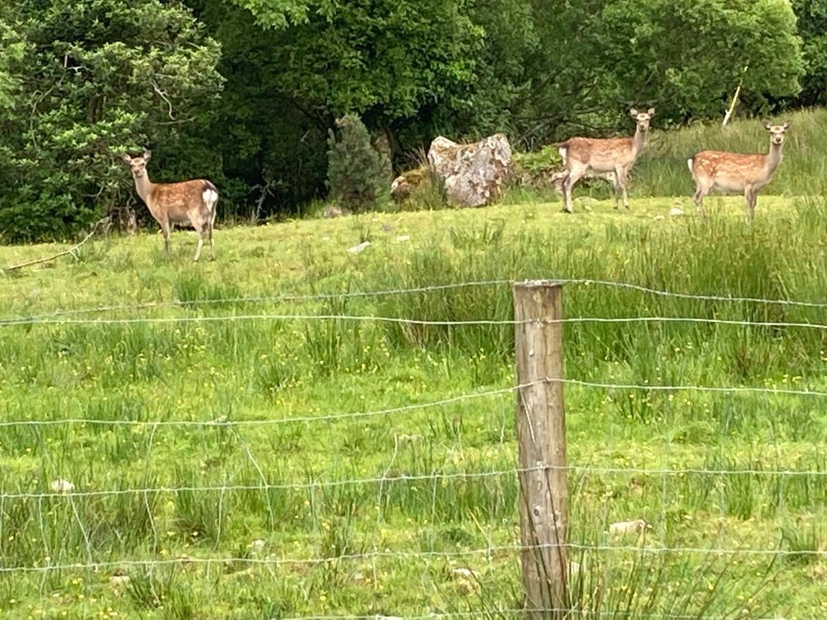 Holiday home Eagles Killarney