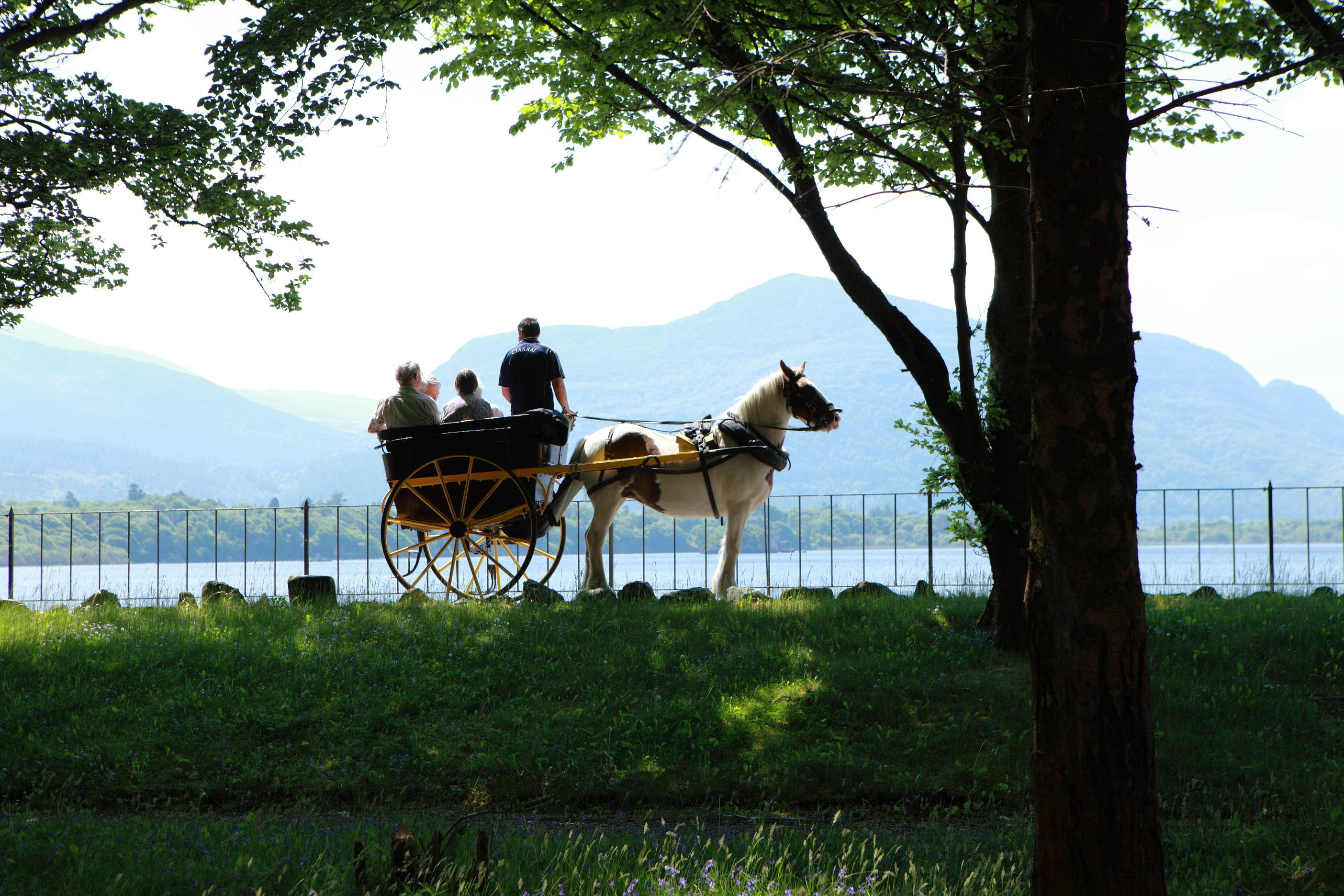 The Lake 4* Killarney
