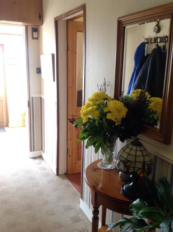 Bed & Breakfast Shamrock House Killarney
