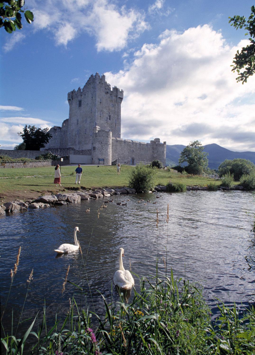 Abbey Killarney