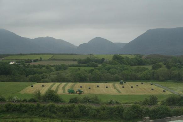 River Valley 4* Killarney