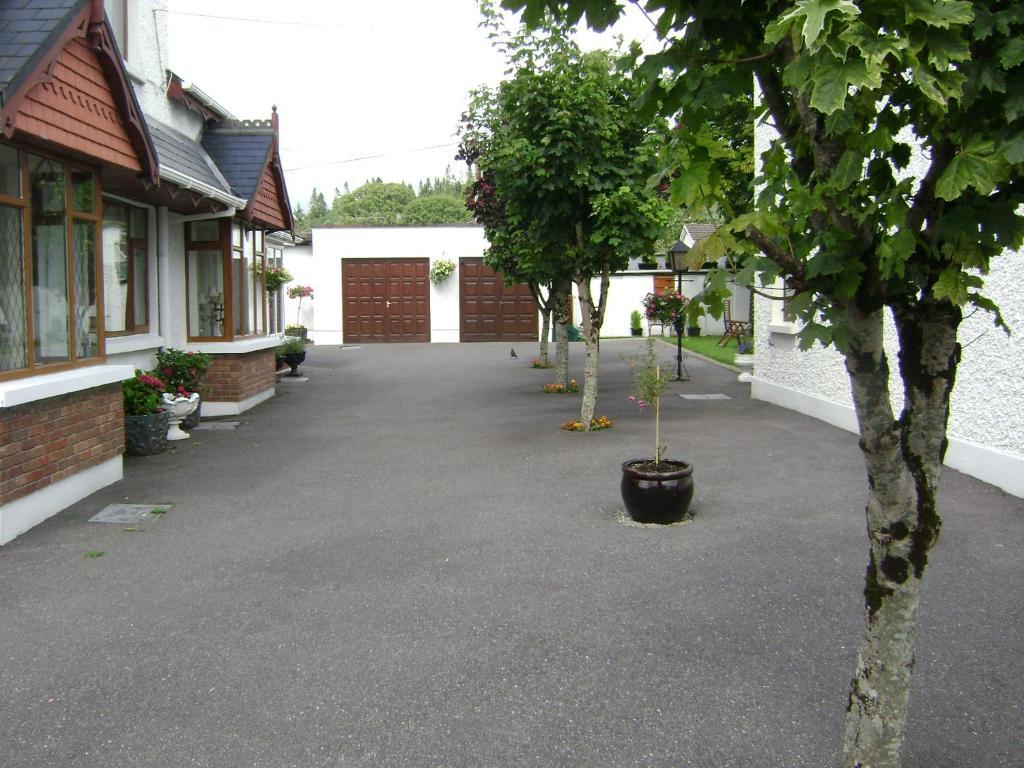 Saint Anthony's 3* Killarney