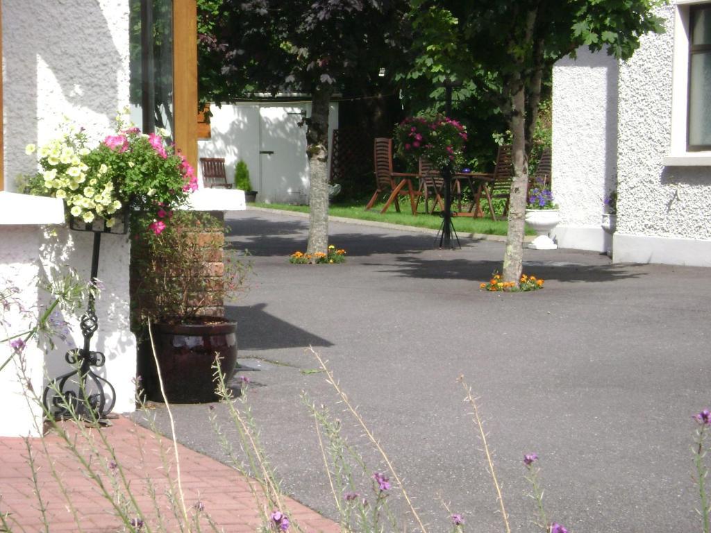 Saint Anthony's Killarney