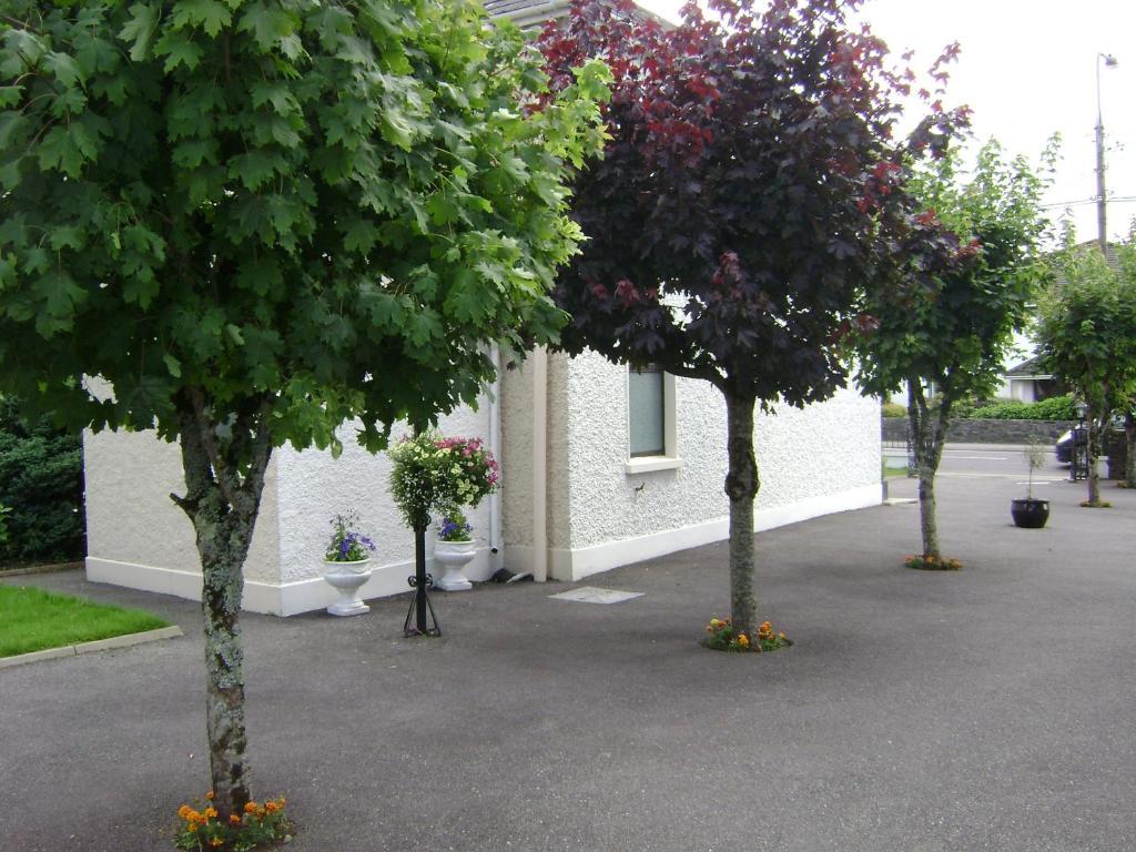 Saint Anthony's Killarney
