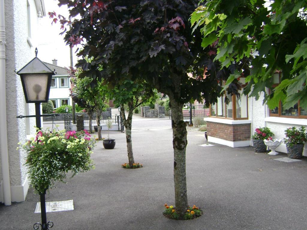 Saint Anthony's 3*