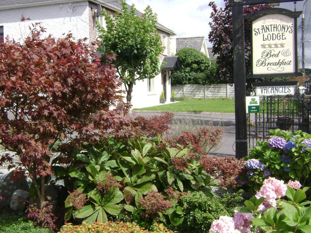 Saint Anthony's 3* Killarney