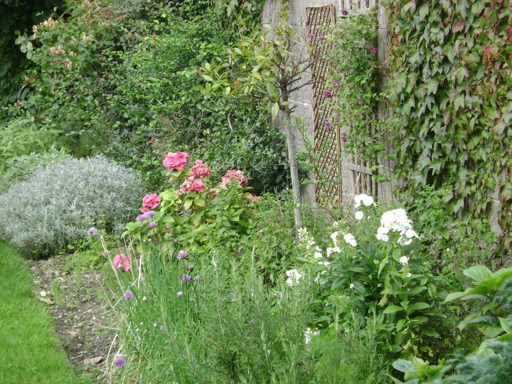 Bed & Breakfast Saint Anthony's 3*
