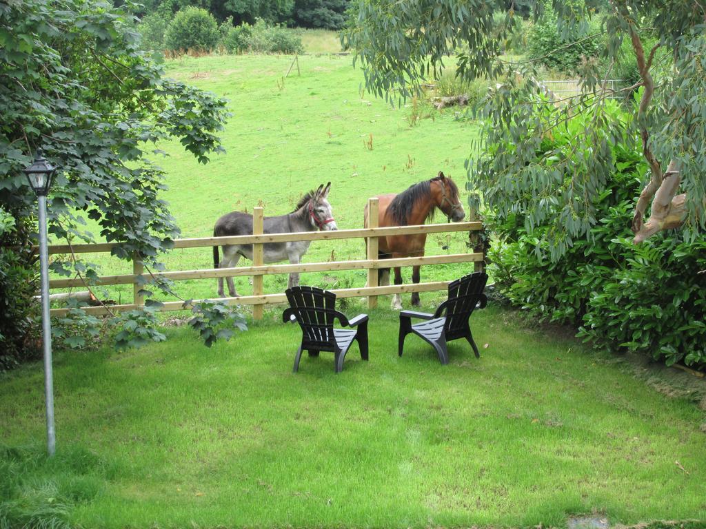 Lakeview Courtyard * Killarney