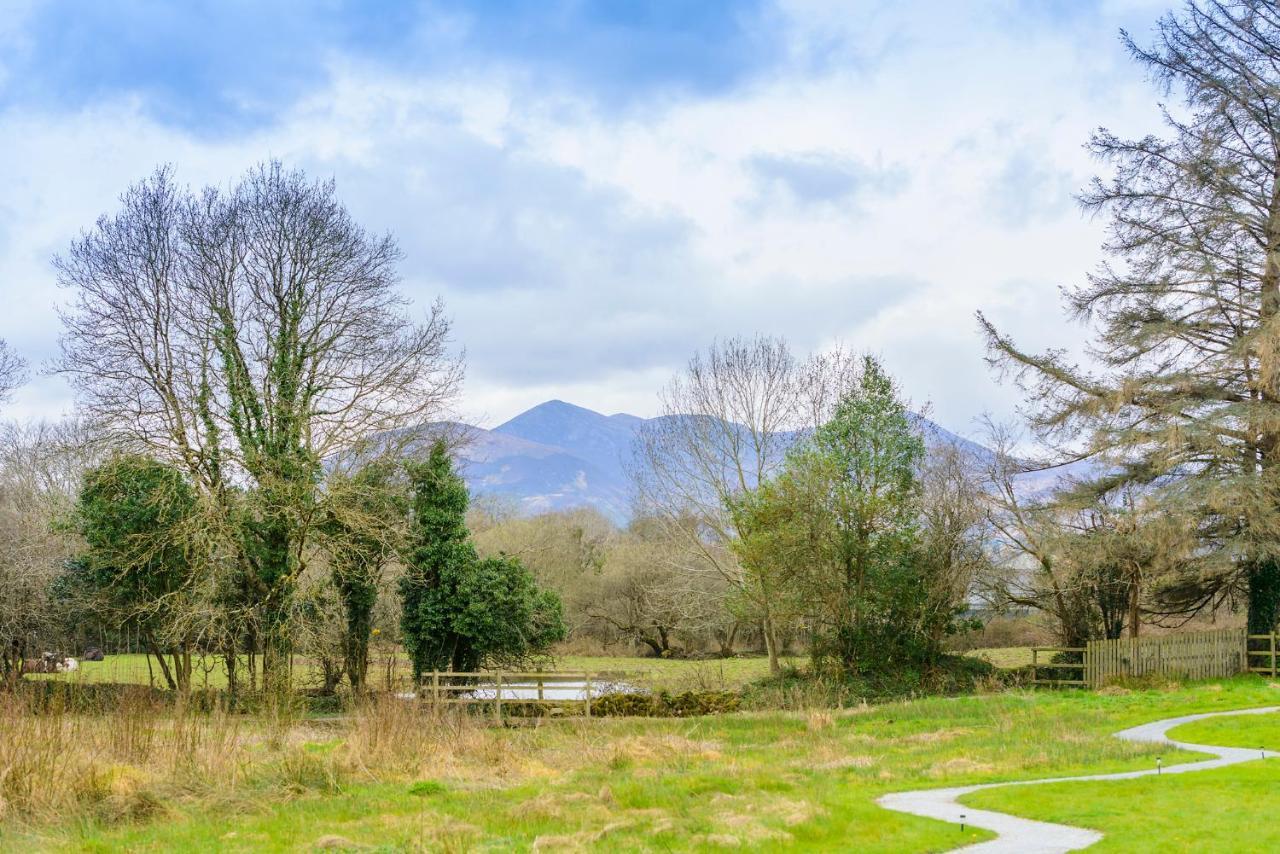 Killarney Glamping At The Grove, Suites And Lodges Luxury tent Killarney