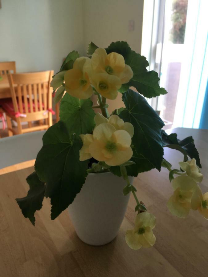 Holiday home Oakley Killarney