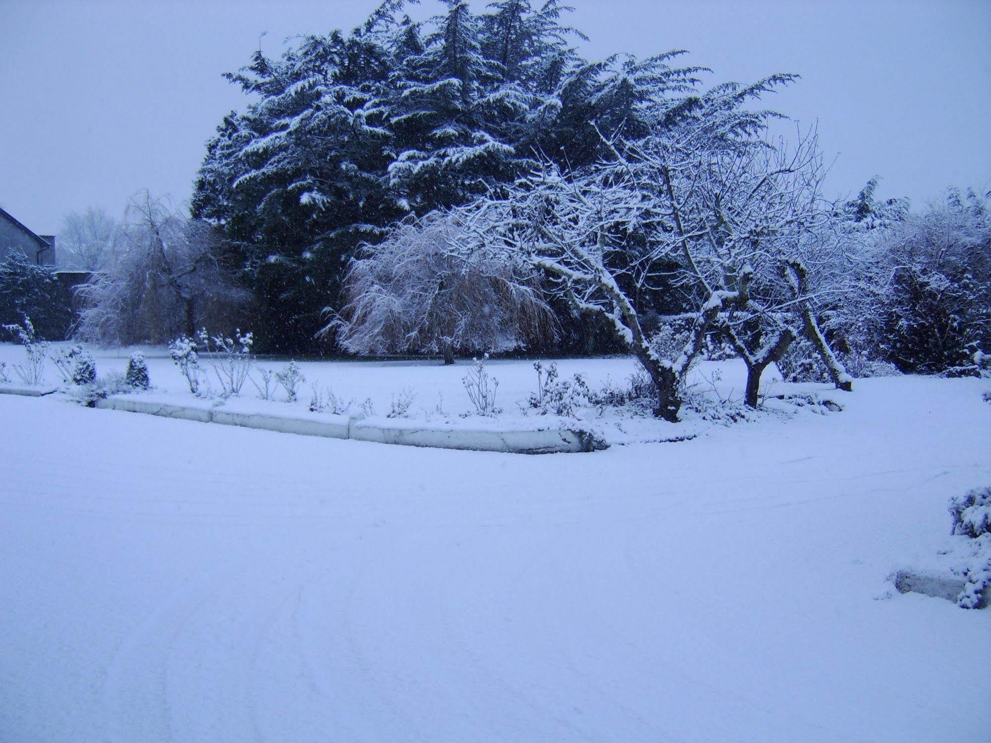 Bed & Breakfast The Gardens Guest Accommodation Killarney