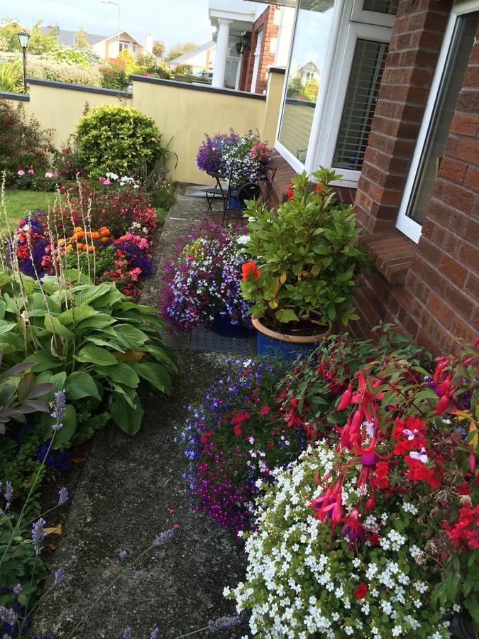 Bed & Breakfast Chelmsford House Lakes Of Killarney